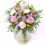NP25BOX0116M.jpg