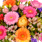 43155-blumenstrauss-kunterbunt-zoom.jpg