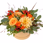 NP26FLO0213S.jpg