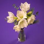 NP24BOX0256L_2.jpg