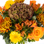 20180020_feuriger_herbst_2.jpg