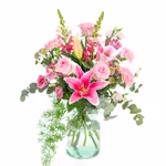 NP24BOX0229M.jpg