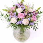 NP24BOX0133L.jpg