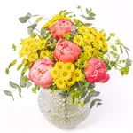 NP24BOX0043L.jpg