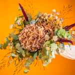 BOU20_112_1.jpg