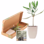 NPBOX250170.jpg