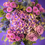 Grand bouquet noué à la main compact de hortensias violettes, roses violettes et santini violettes avec eucalyptus