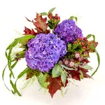 NP24BOX0222L.jpg