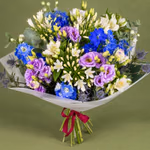 NP26BOX0297S.jpg