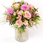 NP24BOX0131L.jpg