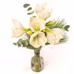 NP24FLO0047.jpg