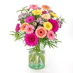 NP24BOX0238L.jpg