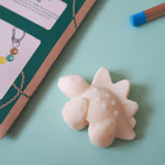 Kids Package 2 Age 6 dino soap detail 600x600.jpg