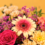 NP26FLO0239_2.jpg