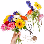 GPD Florist Choice.jpg