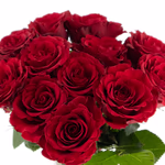 rosenbox-rot-3.jpg