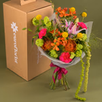 NP26BOX0295_6.jpg