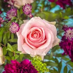 GIF24_07EFM_3.jpg