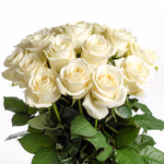 NP25BOX0166L.jpg