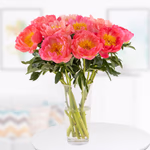 43324-10-pfingstrosen-coral.jpg