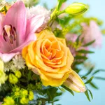 BOU20_83_3.jpg