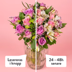 NP26BOX0174_4 1.jpg