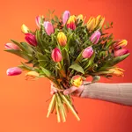 GIF24_05EFM_1.jpg