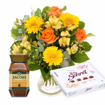 TPP_36708KK Bundle - GPD_coffe chocolate.jpg