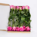 rosenbox-rosa-2.jpg