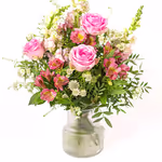 NP24BOX0270M-resized.jpg