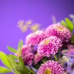 BOU20_113M_4.jpg