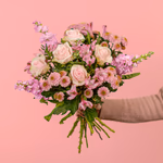 Serenata 3 Sizes 02-7.jpg