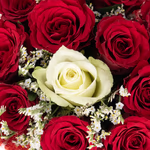 43775-blumenstrauss-rosenkuss-herzform-2.jpg