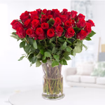 20200005-40-rote-rosen.jpg