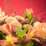 BOU23_12M_3.jpg