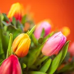 GIF24_05EFM_3.jpg