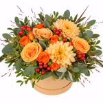 NP26FLO0213M.jpg