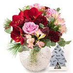 NP24BOX0337L.jpg