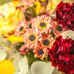 BOU23_11M_3.jpg