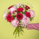 BOU14_33_1.jpg