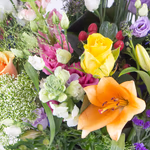 20190054_4260625431108_blumenstrauss_regenbogen_xxl_zoom.jpg
