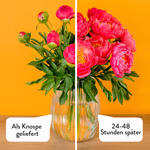 Bud to bloom design_DE_Orange.jpg