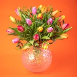 GIF24_05EFM_2.jpg