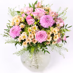 NP25BOX0115L.jpg