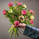 BOU20_09M_2.jpg