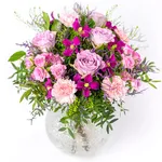 NP24BOX0129L.jpg