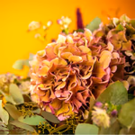 Large bouquet of pink hydrangeas and red amaranthus with greenery