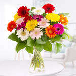 4260625430071_bunte_gerbera_int2.jpg