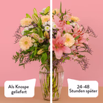 Serenata 3 Sizes 01-004.jpg