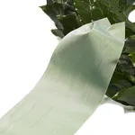 Green ribbon